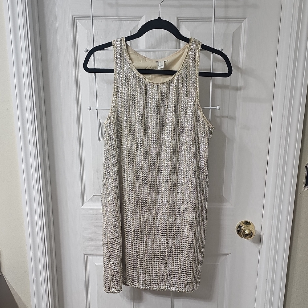 Forever 21 Silver Sequin Mini Dress